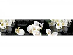 Кухонный фартук глянцевый SP-086