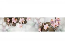 Кухонный фартук глянцевый SP-214