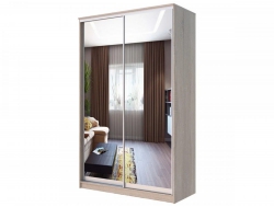 Шкаф-купе Хит 24-14-55