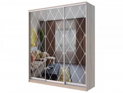 Шкаф-купе Хит 24-4-20-666