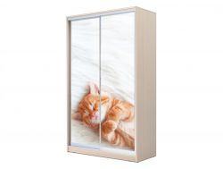 Шкаф-купе Хит 23-4-12/2-77 фото 23