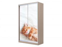 Шкаф-купе Хит 23-4-17-77 фото 23