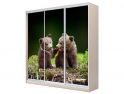 Шкаф-купе Хит 23-20/2-777 фото 25