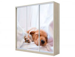 Шкаф-купе Хит 23-4-18-777 фото 24