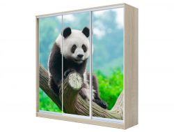 Шкаф-купе Хит 23-4-18/2-777 фото 29