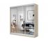 Шкаф-купе Хит 23-18-656 с рисунком 01